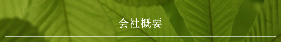 会社概要